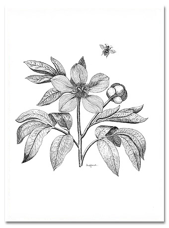 Flight of the Honey Bee