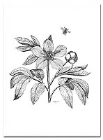 Flight of the Honey Bee